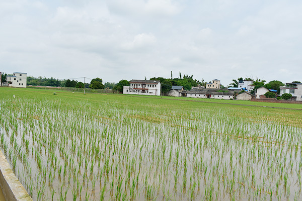 基地展示