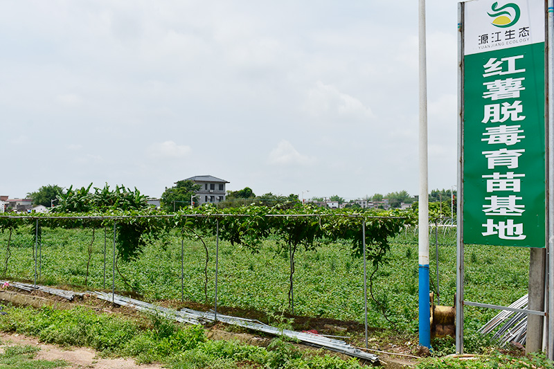 基地展示