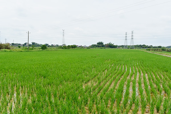 生態(tài)產(chǎn)區(qū)